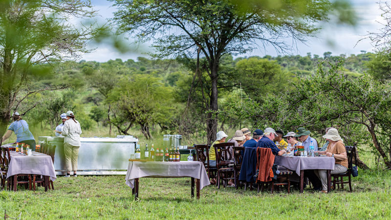 Serengeti Wild Camp