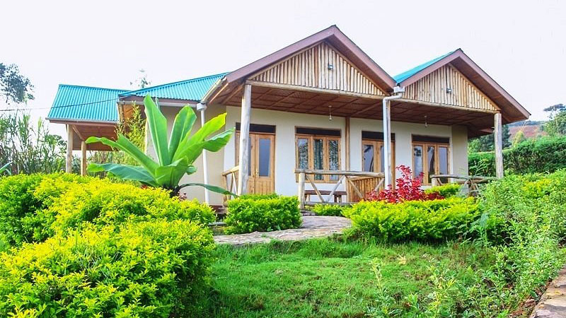 Rushaga Gorilla Haven's Lodge