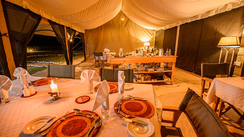 Pamoja Serengeti Luxury Camp