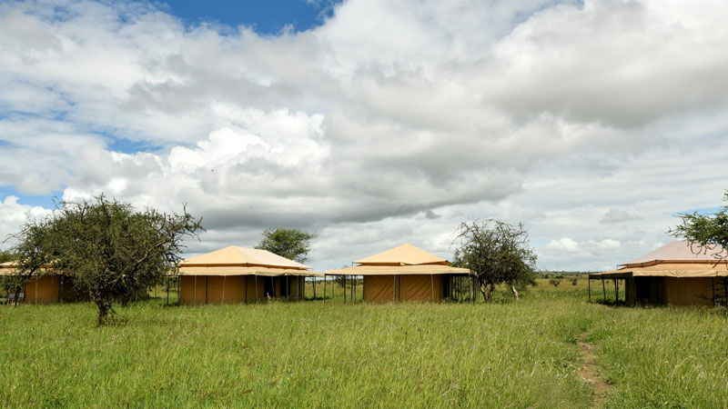 Serengeti Wild Camp