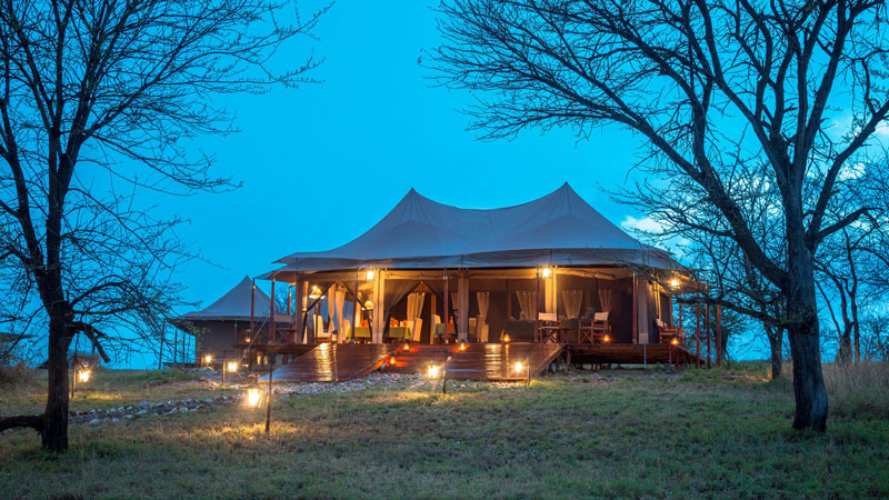 Matawi Serengeti Camp