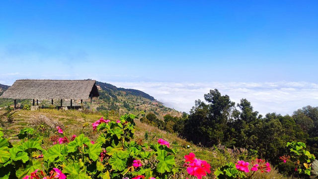 Magumba view cottages