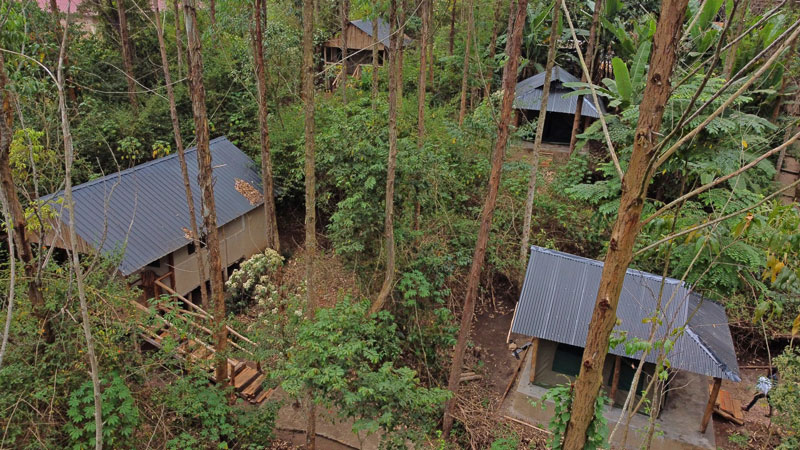 Kibale Chimpanze Lodge