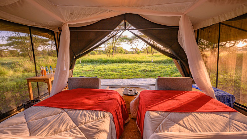 Pamoja africa lodge