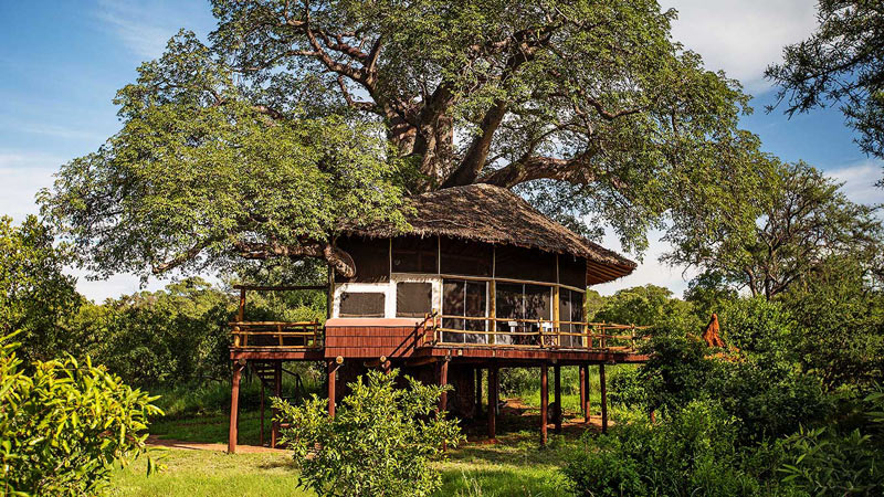 Tarangire Tree Tops Lodge