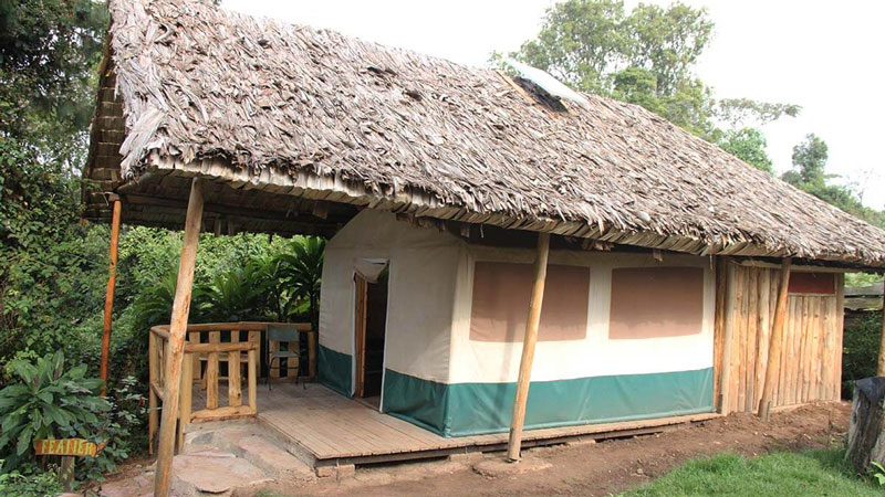 Broadbill Forest Camp