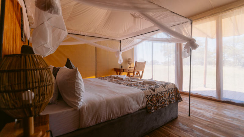 Misako Luxury Camps