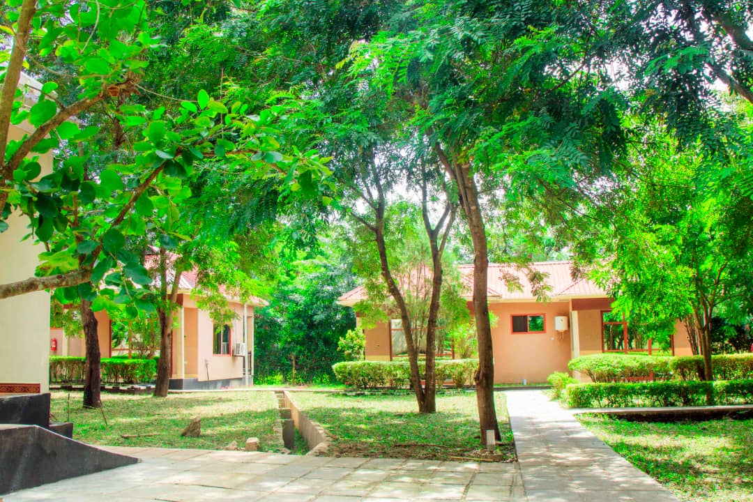 Mikumi resort