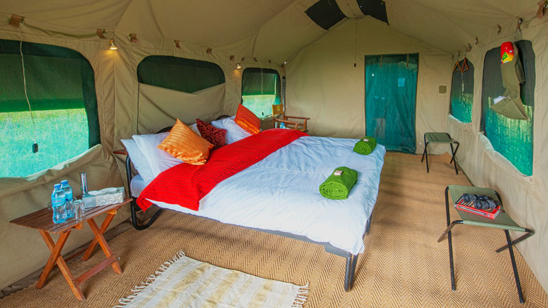 Kananga Camp Serengeti