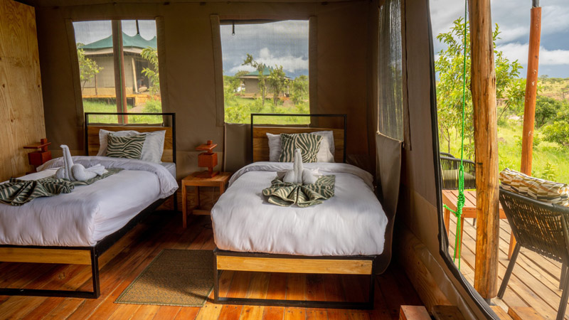 Baobab Mara Luxury Camp