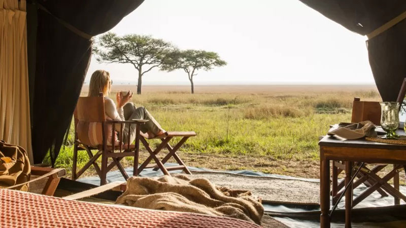 Serengeti safari camp