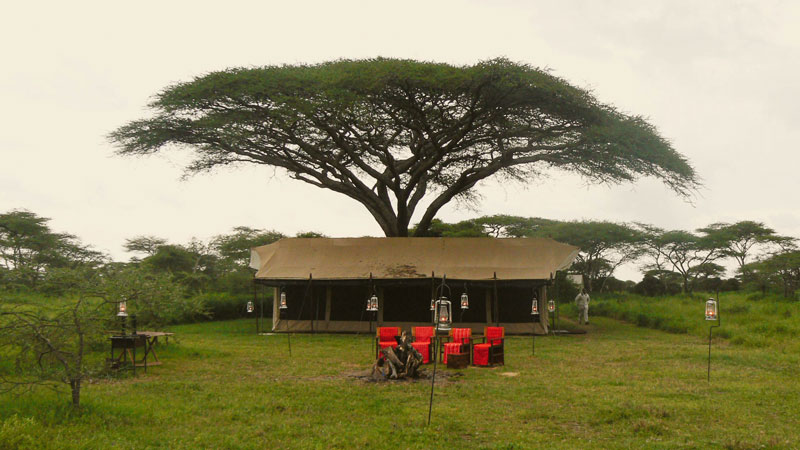 Pamoja Migration Camp