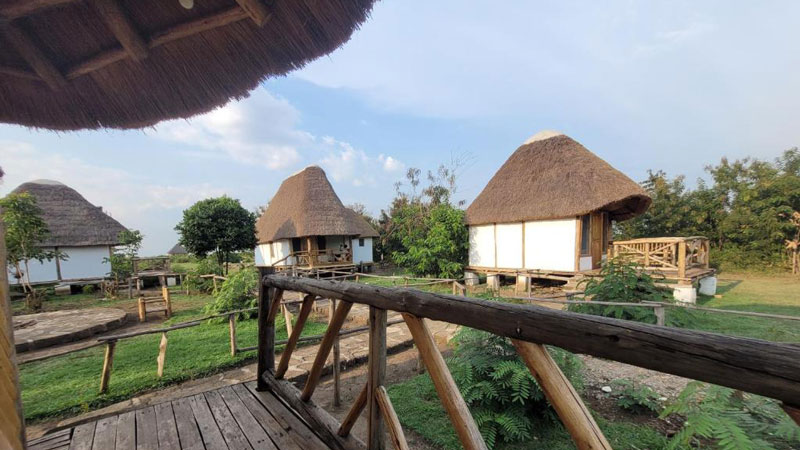 Songbird Safari Lodge