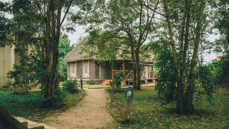 Irungu Forest Safari Lodge