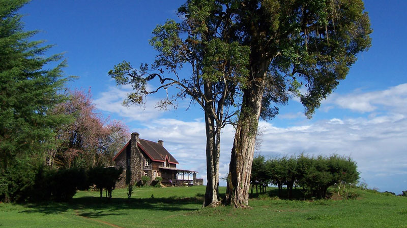 castle Forest Lodge