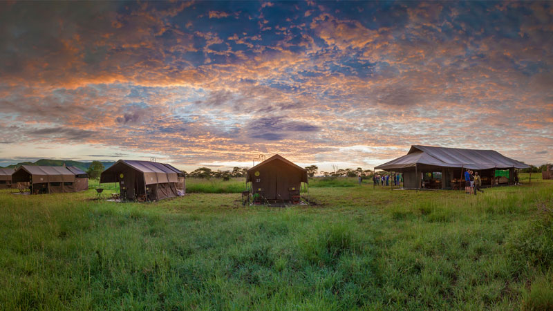Kananga Serengeti Camp