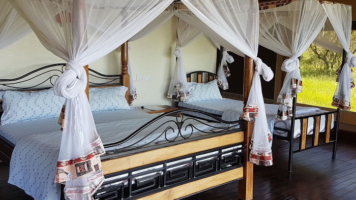 Simba & Oryx Camp