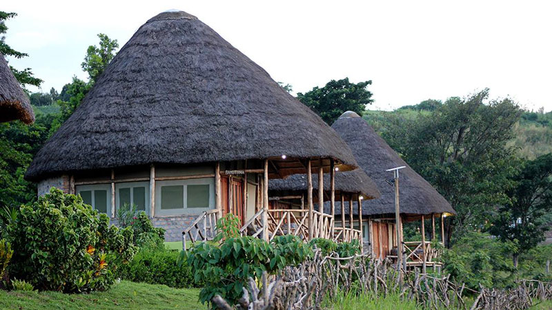 Elephant Hab Lodge