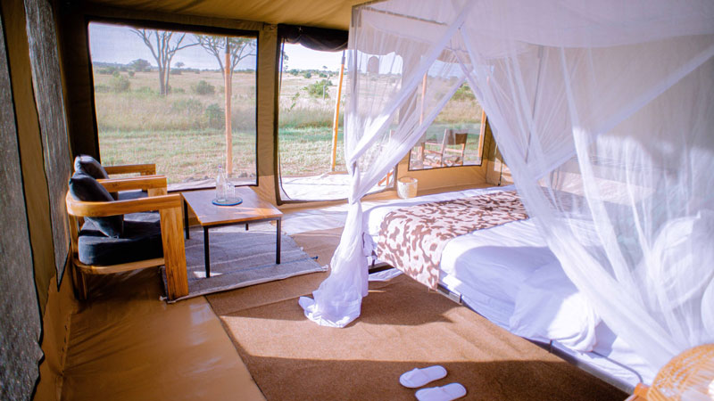 Follow Migration Camp-Ndutu