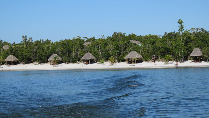 Palmarium Reserve