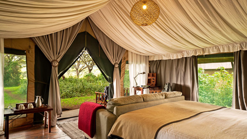 Ngorongoro Lemala