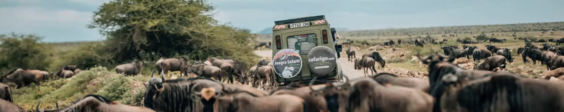 Tanzania