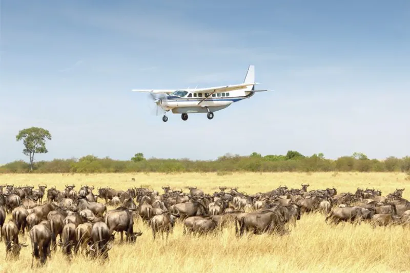 3-Day Fly-in Safari Direct to Serengeti National Park from Zanzibar