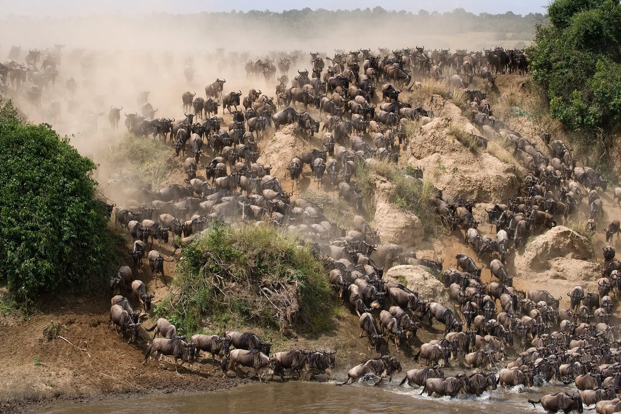 3-Day Masai Mara 4x4 Mid-Range Safari