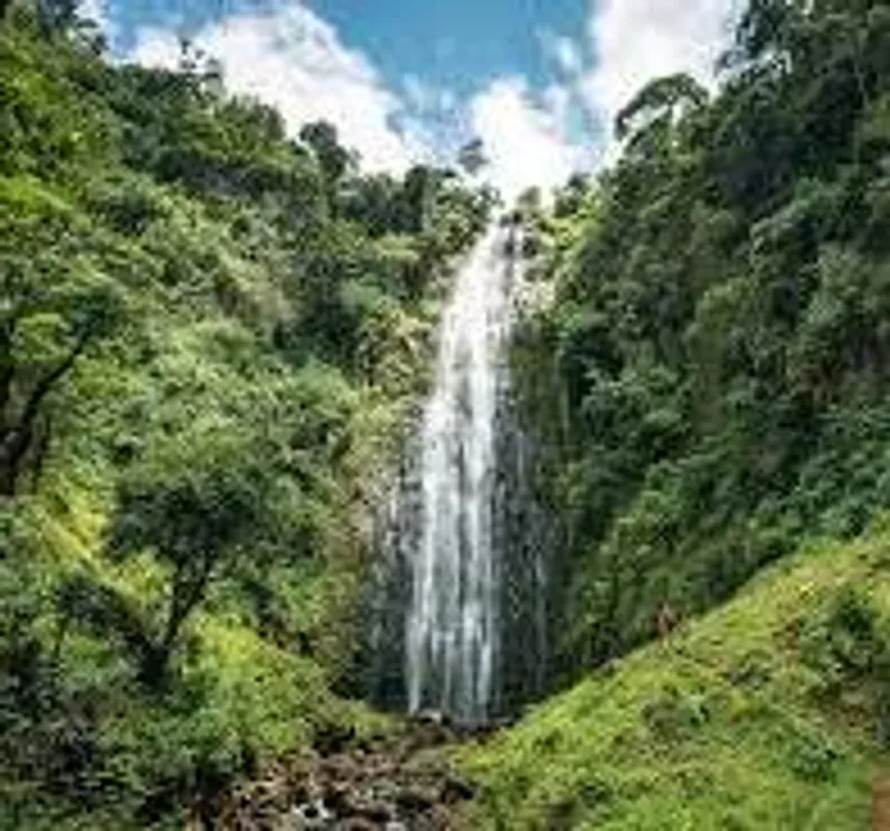 Materuni Waterfall and Coffee Tour Experience