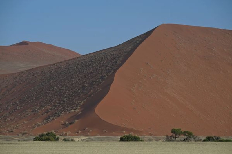 7-Day Southern Namibia Safari