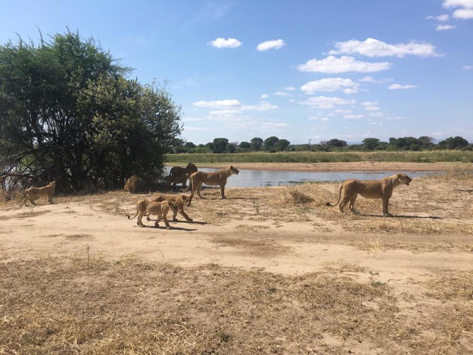 3 Day: Nyerere National Park