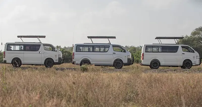 5-Day A Captivating Safari Amboseli, Naivasha, and Mara