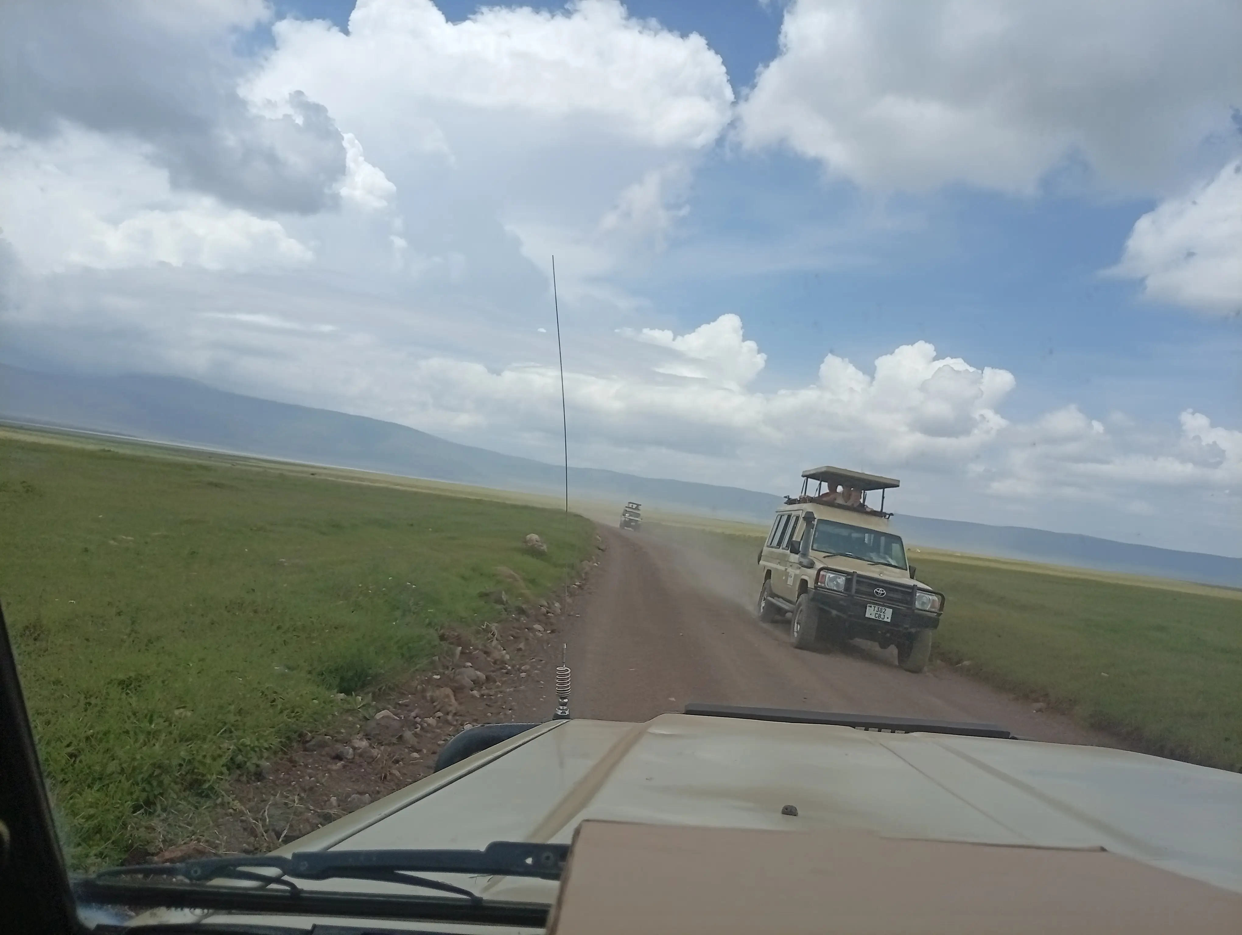 5-Day Ndutu Calving Season Safari With Kilimanjaro Winners and Safaris
