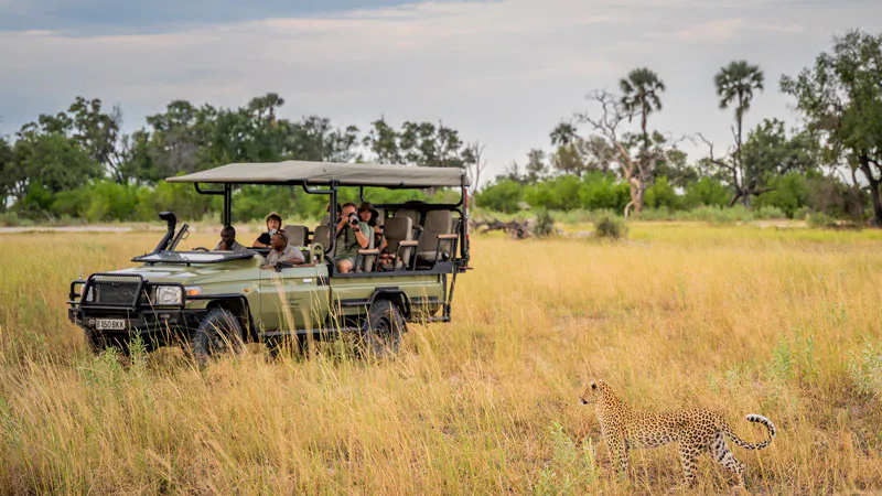 8 Day Cape Town & Kruger Fly-In Safari