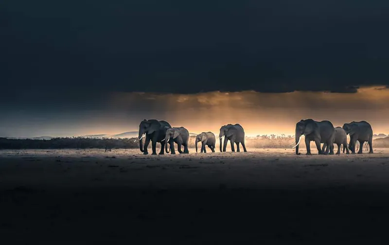 4 DAYS MASAI MARA SAFARI