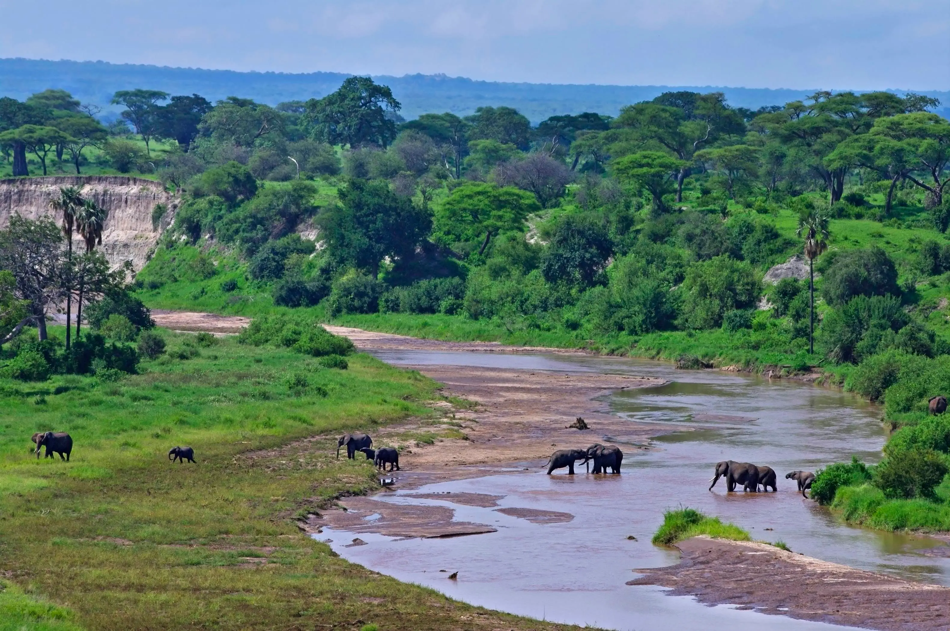 2 DAYS SAFARI TO TARANGIRE NATIONAL PARK AND NGORONGORO CRATER