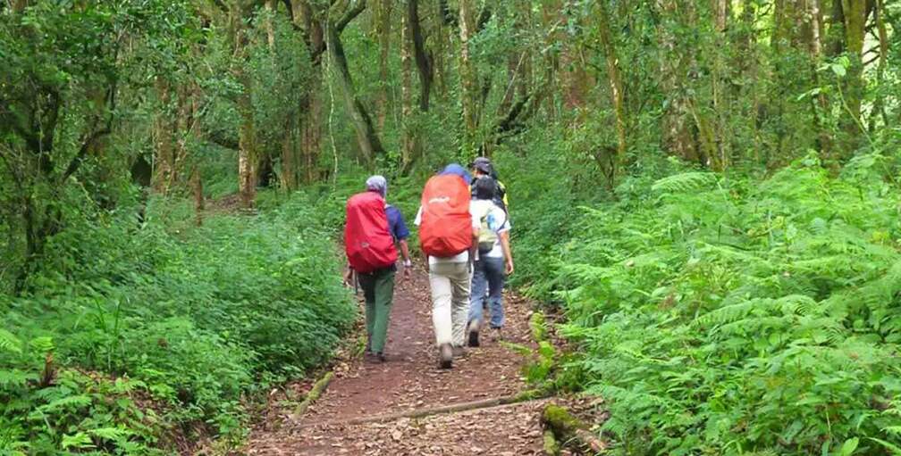 6 Days Successful Kilimanjaro Climb - Obrey Safaris & Hiking Limited - Safarigo