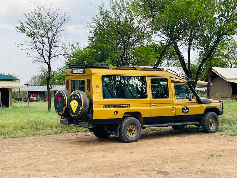 7 Days Big Five Safaris In Tanzania