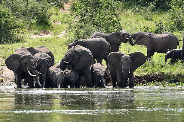 3 Day Queen Elizabeth National Park