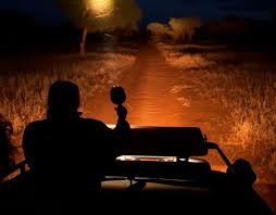 6 - Days Night gamedrive & Balloon safari