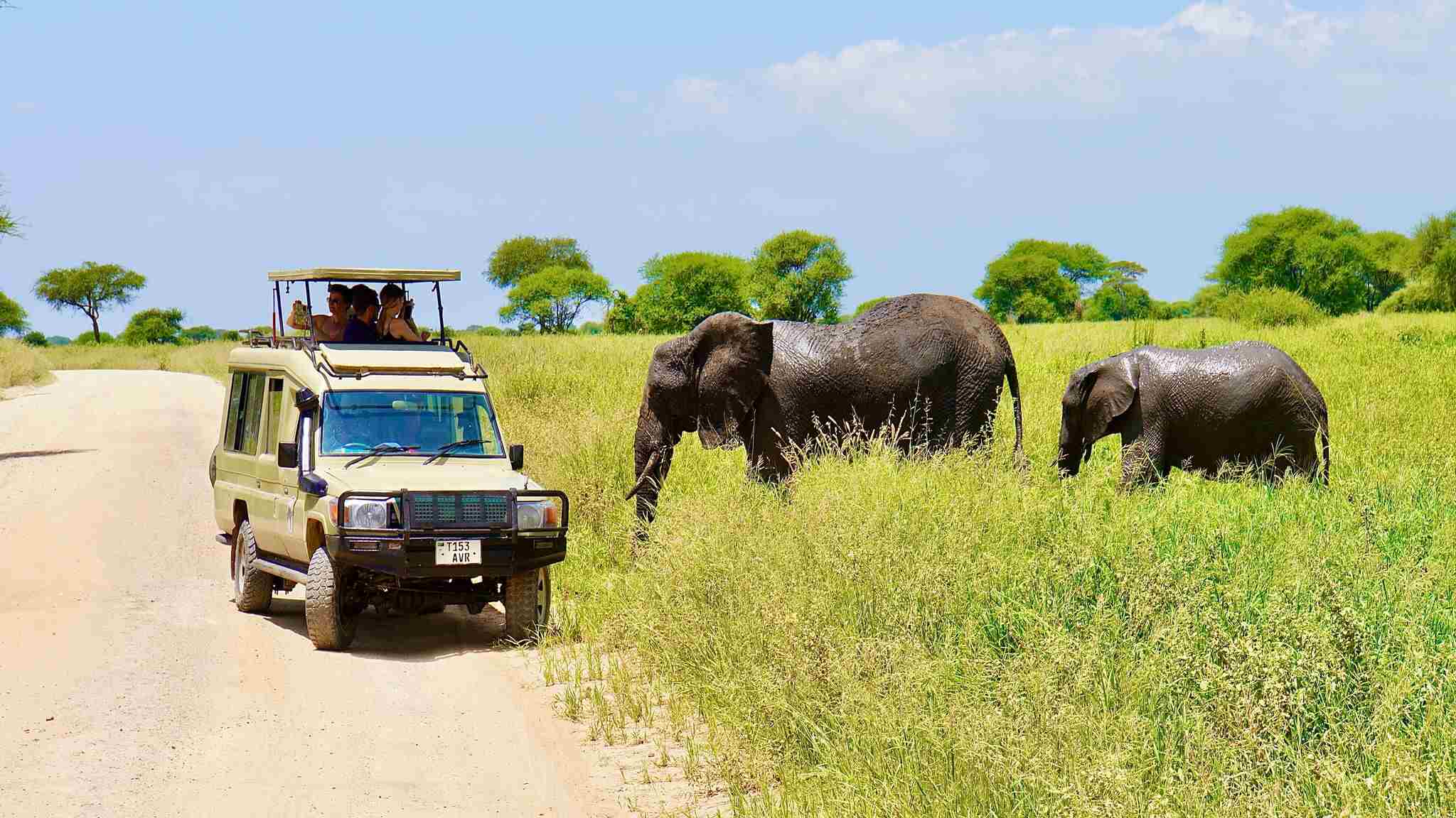4 Day Adventure in Tanzania