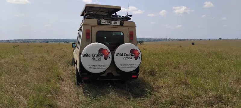 3 DAYS TANZANIA SAFARI
