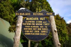 A GROUP TOUR FOR A MOUNT KILIMANJARO DAY HIKE: MARANGU ROUTE FROM ARUSHA/MOSHI