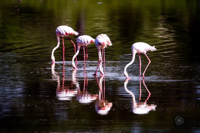 11-Day Culture, Wildlife & Beach Bliss