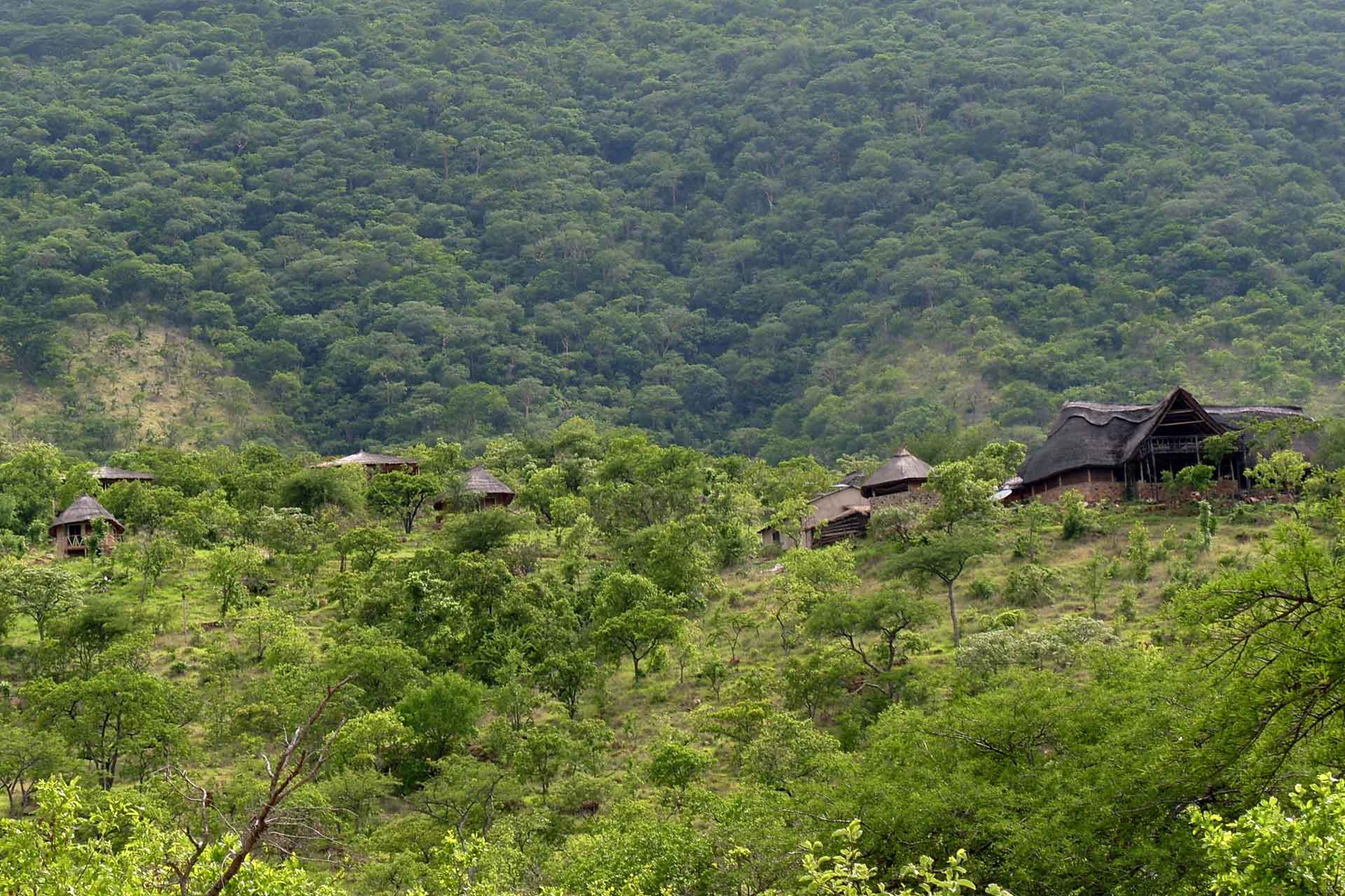 7-Day Southern Tanzania Guided Safari to Nyerere (Selous), Mikumi and Ruaha Package
