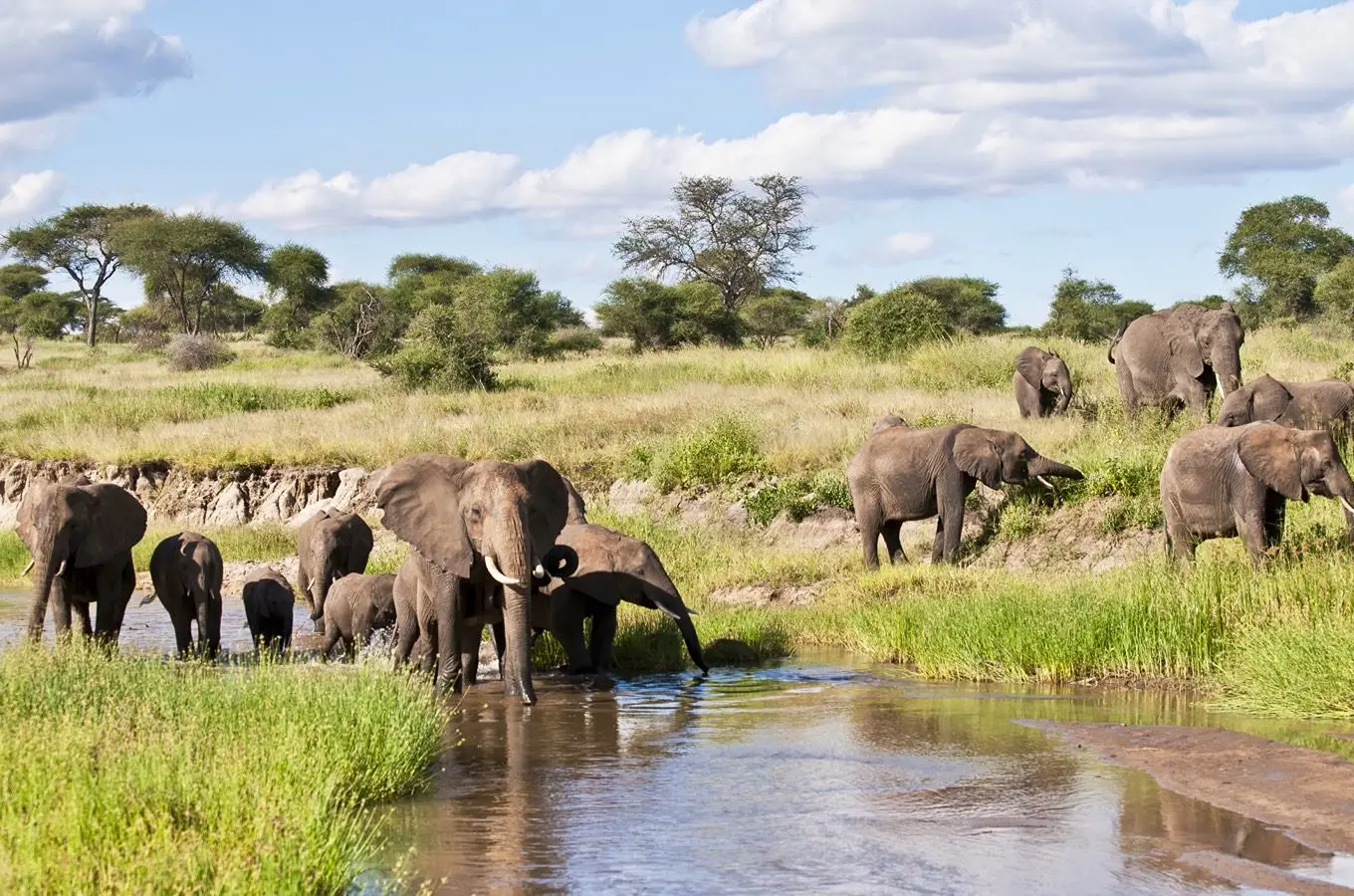 7-DAY MATERUNI WATERFALLS, TARANGIRE, LAKE MANYARA, NGORONGORO & SERENGETI SAFARI