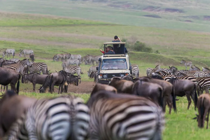 4-tägige klassische Tansania-Safari (Tarangire, Serengeti und Ngorongoro)