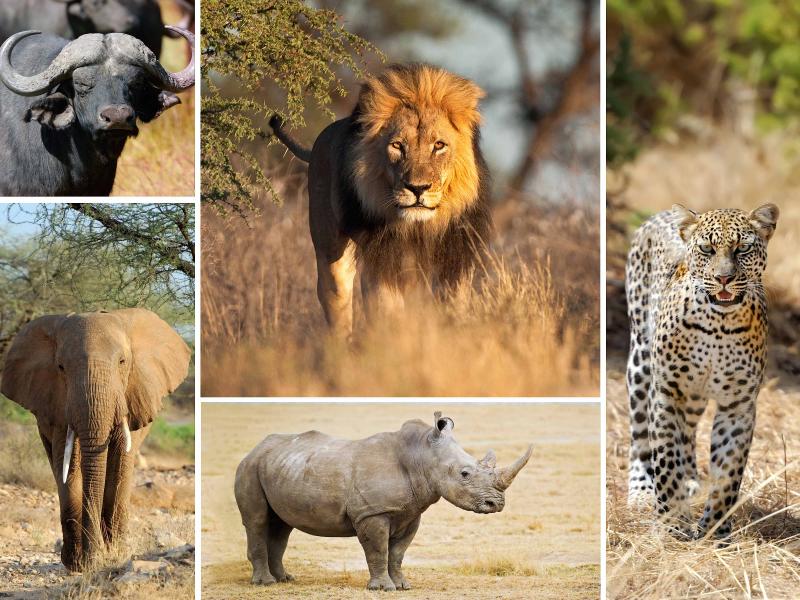 4-Day crater, olduvai gorge and serengeti