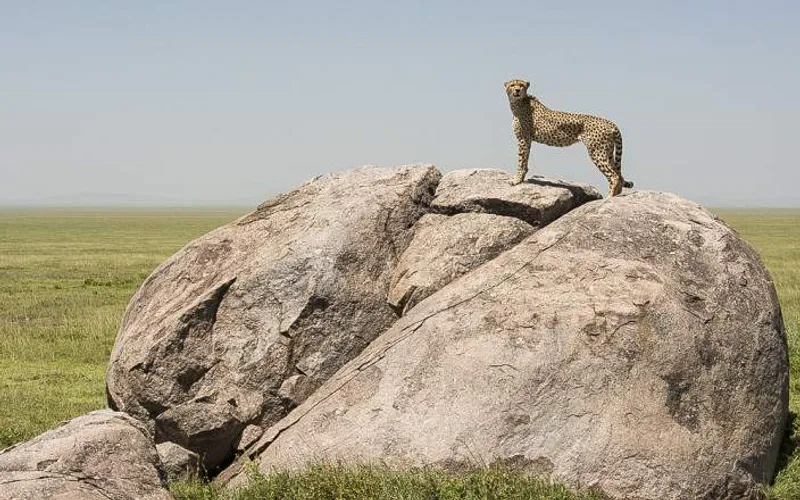 6-Day Safari to Arusha, Tarangire, Ngorongoro & Manyara