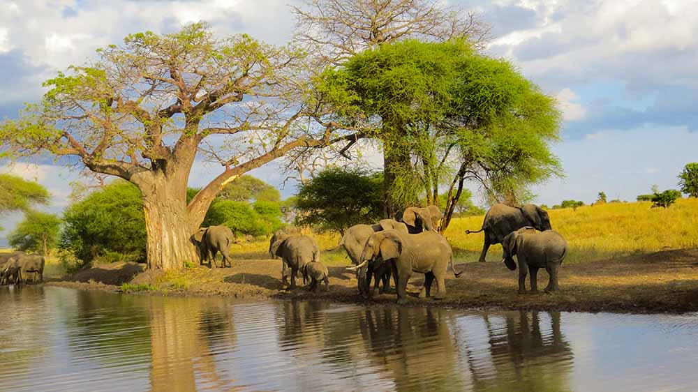 3-Day Culture Experience and Safari